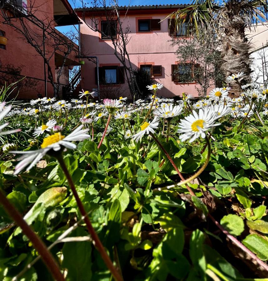 Elentoni Apartment *